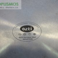 tigani epaggelmatiko (1)